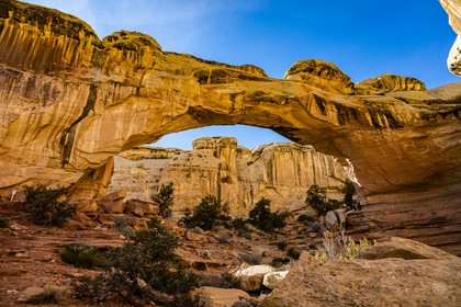Hickman Bridge in Capitol Reef National Park, Utah Photo by Lori Stevens on Unsplash
